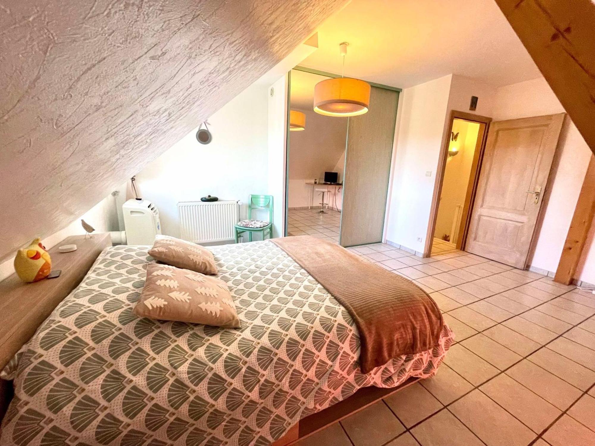 Le Papillon,Logement Cosy En Alsace Erstein Exterior foto